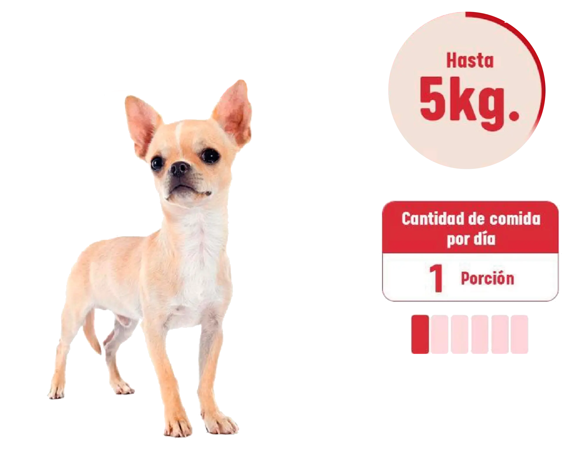 Alimento de perros de 5 kg