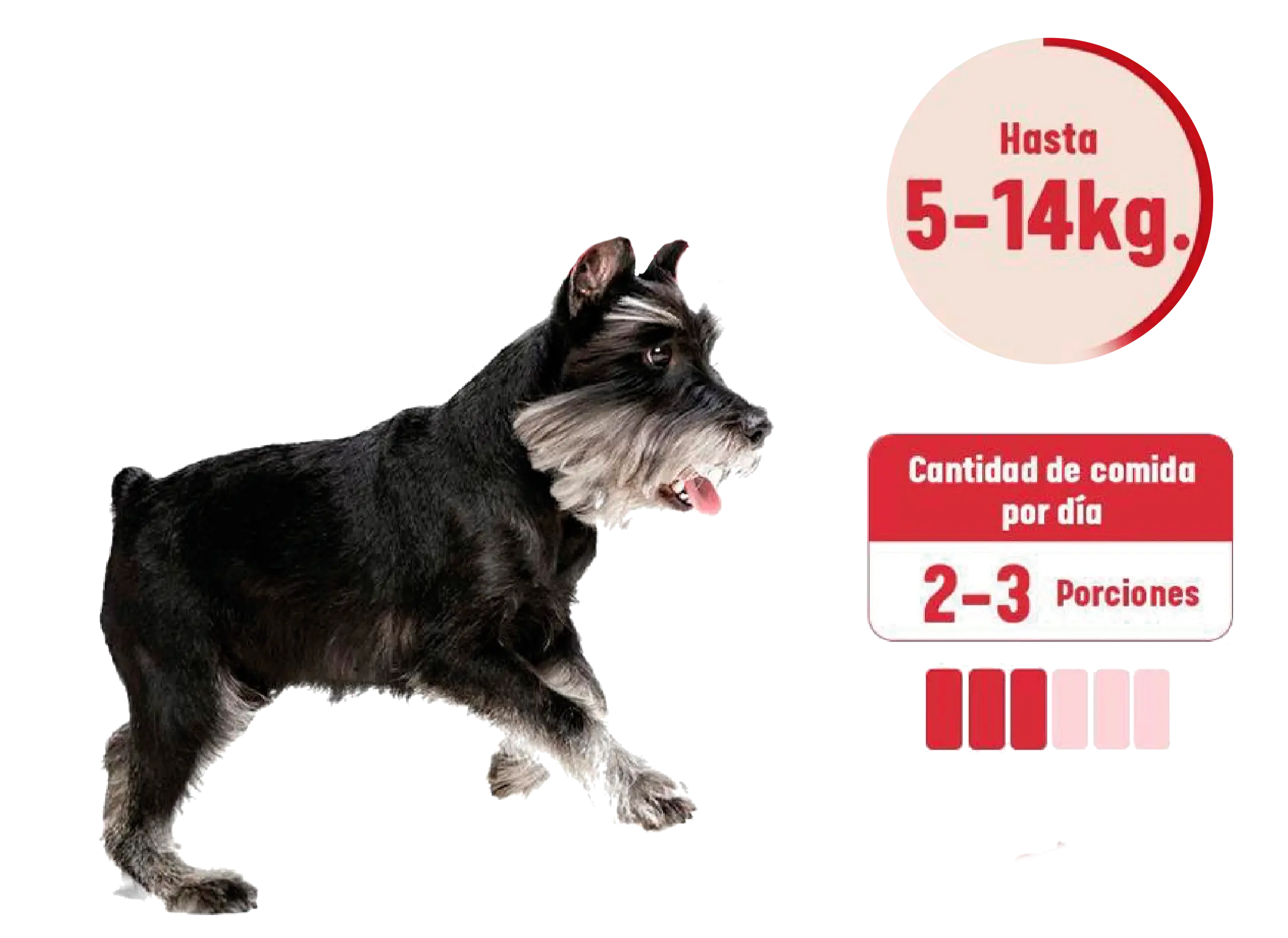 Alimento de perros de 5 kilos a 14 kilos