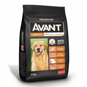Avant Adulto Rmg 4 Kg
