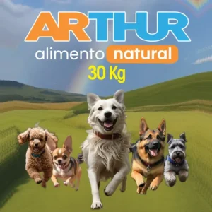 Arthur 30 Kg