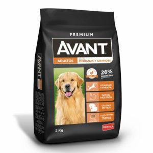 Avant Adulto Rmg 2Kg