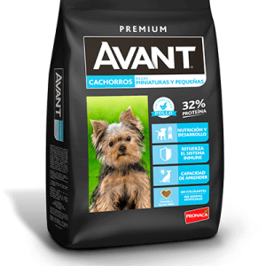 Avant Cachorro Rp 2Kg