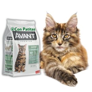 Avant Gatos Adultos 1.7 Kg