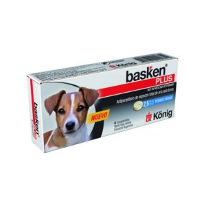 Basken Perros Chicos