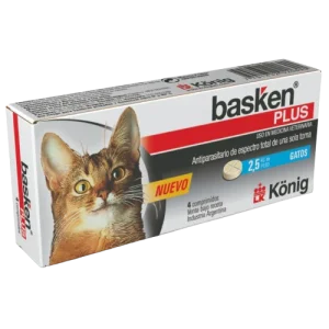 Basken Plus Gato