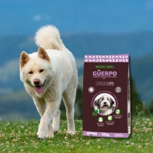 Guerpo Adulto Cordero 12 Kg