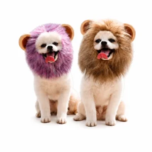 Disfraz Gorro de León para Mascotas