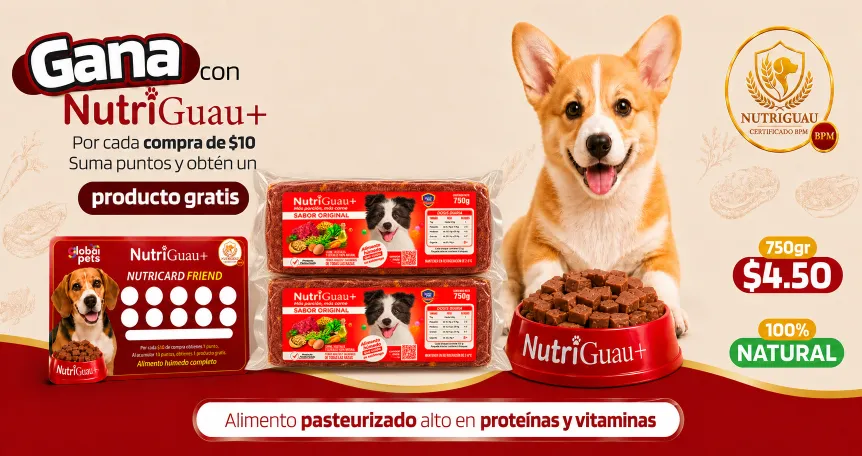 banner nutriguau